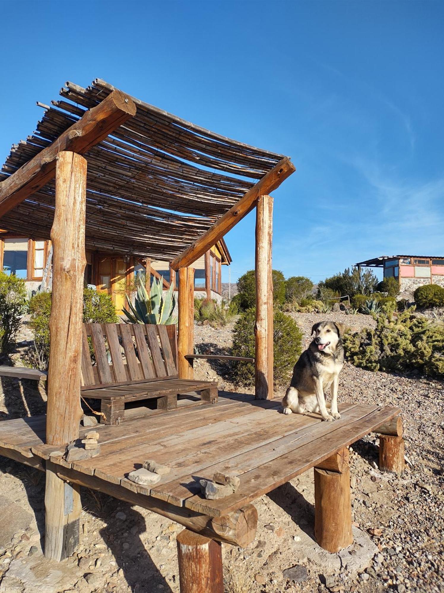 Cabana La Mostacita - Complejo El Taller Potrerillos Exteriér fotografie