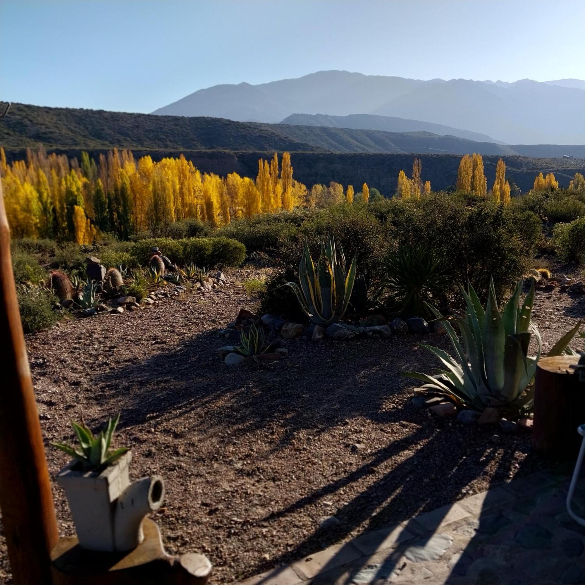 Cabana La Mostacita - Complejo El Taller Potrerillos Exteriér fotografie